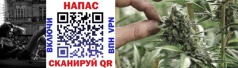 Канабис OG Kush Нерчинск